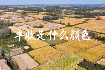 春種一粒粟，秋收萬顆子。多彩的豐收季，只愿五谷豐登，百事興旺3.240_400.jpg
