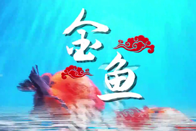 金魚歡躍，流光溢彩！_400.jpg